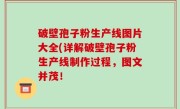 破壁孢子粉生产线图片大全(详解破壁孢子粉生产线制作过程，图文并茂！