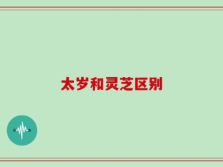 太岁和灵芝区别