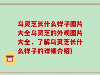 乌灵芝长什么样子图片大全乌灵芝的外观图片大全，了解乌灵芝长什么样子的详细介绍)