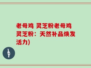 老母鸡 灵芝粉老母鸡灵芝粉：天然补品焕发活力)