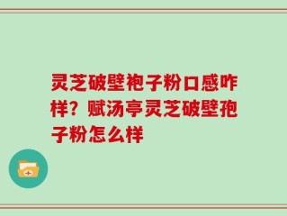 灵芝破壁袍子粉口感咋样？赋汤亭灵芝破壁孢子粉怎么样