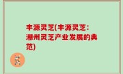 丰源灵芝(丰源灵芝：潮州灵芝产业发展的典范)