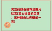 灵芝的颜色推荐语图片欣赏(赏心悦目的灵芝：五种颜色让你眼前一亮)
