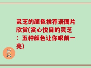 灵芝的颜色推荐语图片欣赏(赏心悦目的灵芝：五种颜色让你眼前一亮)