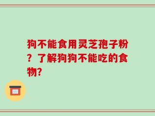 狗不能食用灵芝孢子粉？了解狗狗不能吃的食物？