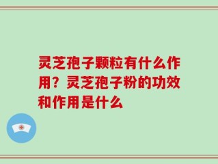 灵芝孢子颗粒有什么作用？灵芝孢子粉的功效和作用是什么