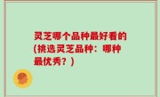 灵芝哪个品种最好看的(挑选灵芝品种：哪种最优秀？)