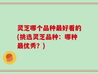 灵芝哪个品种最好看的(挑选灵芝品种：哪种最优秀？)