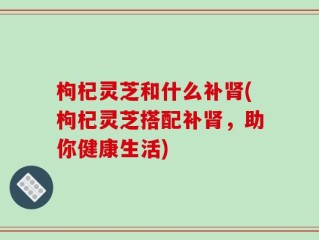 枸杞灵芝和什么补肾(枸杞灵芝搭配补肾，助你健康生活)
