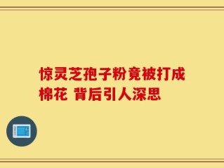 惊灵芝孢子粉竟被打成棉花 背后引人深思