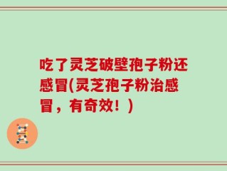吃了灵芝破壁孢子粉还感冒(灵芝孢子粉治感冒，有奇效！)