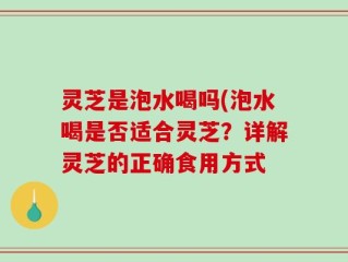 灵芝是泡水喝吗(泡水喝是否适合灵芝？详解灵芝的正确食用方式