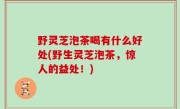 野灵芝泡茶喝有什么好处(野生灵芝泡茶，惊人的益处！)