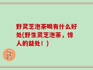 野灵芝泡茶喝有什么好处(野生灵芝泡茶，惊人的益处！)