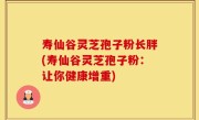 寿仙谷灵芝孢子粉长胖(寿仙谷灵芝孢子粉：让你健康增重)