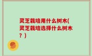 灵芝栽培用什么树木(灵芝栽培选择什么树木？)
