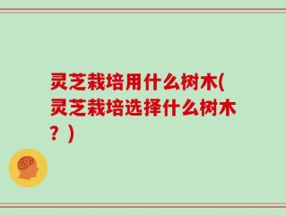 灵芝栽培用什么树木(灵芝栽培选择什么树木？)