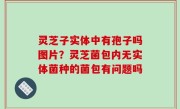 灵芝子实体中有孢子吗图片？灵芝菌包内无实体菌种的菌包有问题吗