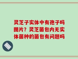 灵芝子实体中有孢子吗图片？灵芝菌包内无实体菌种的菌包有问题吗