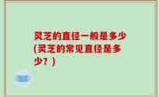 灵芝的直径一般是多少(灵芝的常见直径是多少？)