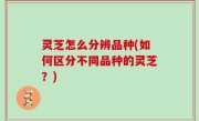 灵芝怎么分辨品种(如何区分不同品种的灵芝？)