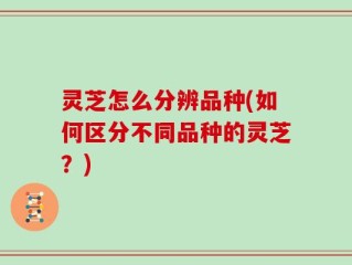 灵芝怎么分辨品种(如何区分不同品种的灵芝？)