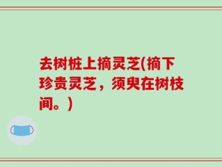 去树桩上摘灵芝(摘下珍贵灵芝，须臾在树枝间。)