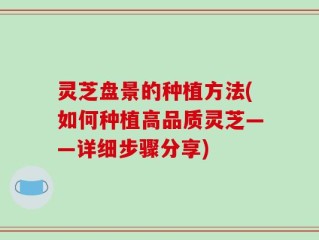 灵芝盘景的种植方法(如何种植高品质灵芝——详细步骤分享)