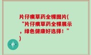片仔癀草药全棵图片(“片仔癀草药全棵展示，绿色健康好选择！”)
