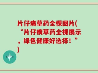 片仔癀草药全棵图片(“片仔癀草药全棵展示，绿色健康好选择！”)