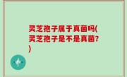 灵芝孢子属于真菌吗(灵芝孢子是不是真菌？)