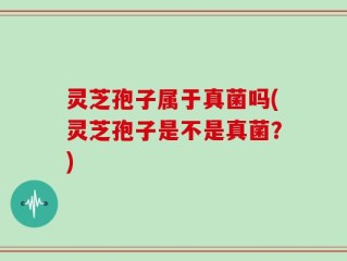 灵芝孢子属于真菌吗(灵芝孢子是不是真菌？)