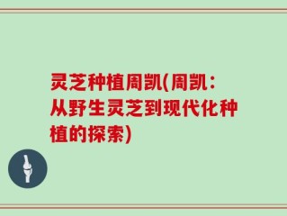 灵芝种植周凯(周凯：从野生灵芝到现代化种植的探索)