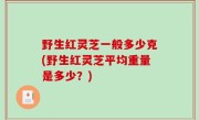野生红灵芝一般多少克(野生红灵芝平均重量是多少？)