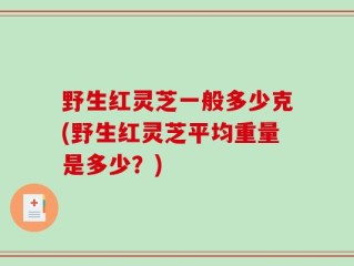 野生红灵芝一般多少克(野生红灵芝平均重量是多少？)