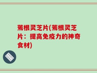 蔫根灵芝片(蔫根灵芝片：提高免疫力的神奇食材)