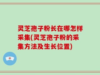 灵芝孢子粉长在哪怎样采集(灵芝孢子粉的采集方法及生长位置)