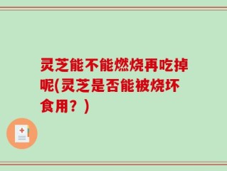 灵芝能不能燃烧再吃掉呢(灵芝是否能被烧坏食用？)