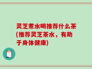 灵芝煮水喝推荐什么茶(推荐灵芝茶水，有助于身体健康)