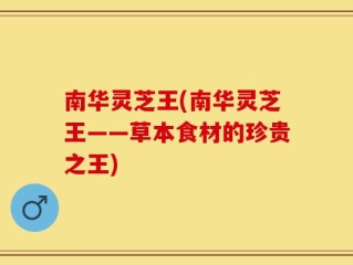 南华灵芝王(南华灵芝王——草本食材的珍贵之王)