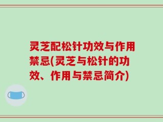 灵芝配松针功效与作用禁忌(灵芝与松针的功效、作用与禁忌简介)