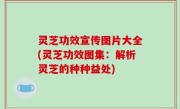 灵芝功效宣传图片大全(灵芝功效图集：解析灵芝的种种益处)