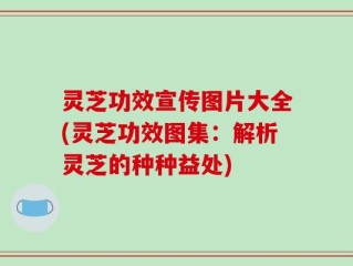 灵芝功效宣传图片大全(灵芝功效图集：解析灵芝的种种益处)