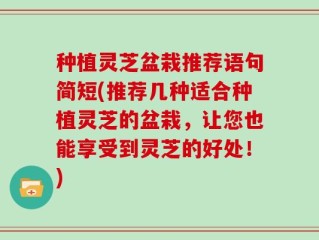 种植灵芝盆栽推荐语句简短(推荐几种适合种植灵芝的盆栽，让您也能享受到灵芝的好处！)