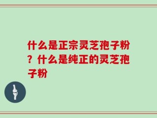 什么是正宗灵芝孢子粉？什么是纯正的灵芝孢子粉