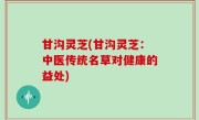 甘沟灵芝(甘沟灵芝：中医传统名草对健康的益处)