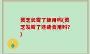 灵芝长霉了能用吗(灵芝发霉了还能食用吗？)