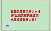 盆栽灵芝要浇多少水才好(盆栽灵芝的适宜浇水量应该是多少呢？)
