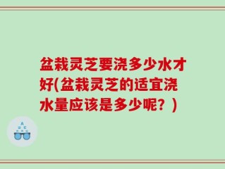 盆栽灵芝要浇多少水才好(盆栽灵芝的适宜浇水量应该是多少呢？)