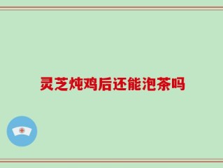 灵芝炖鸡后还能泡茶吗